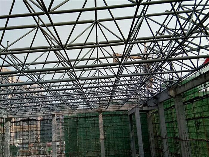 菏泽光谷第十一小学网架